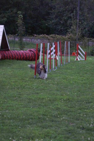 agility 2011-09